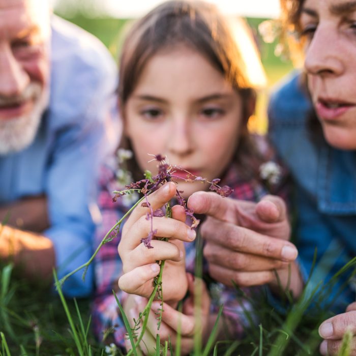 senior-couple-with-granddaughter-outside-in-Y4WNX98.jpg